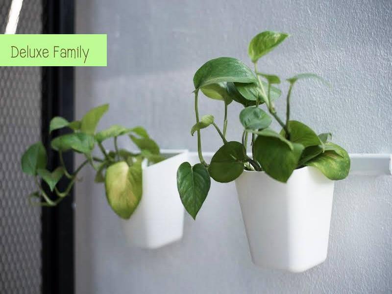 The Leaf Chiangmai Service Apartment Чиангмай Екстериор снимка